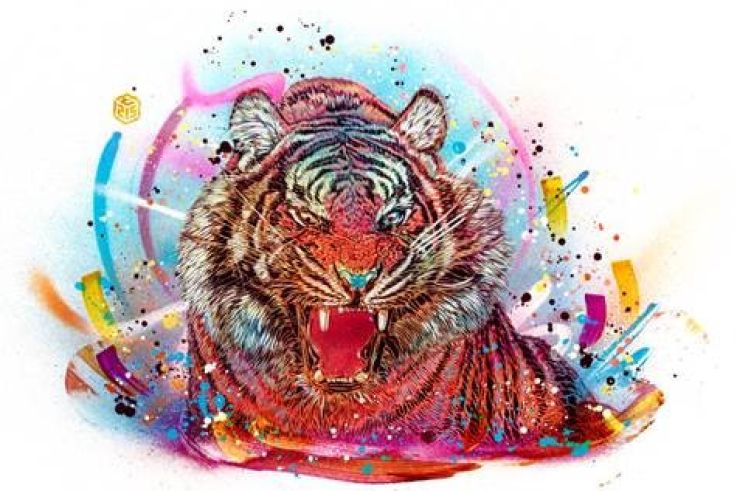 artwork FAR CRY 4, C215