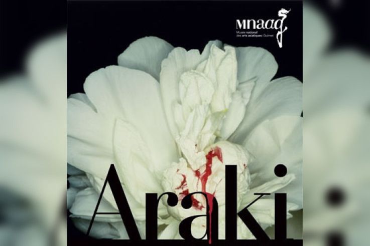 Nobuyoshi Araki au musée Guimet