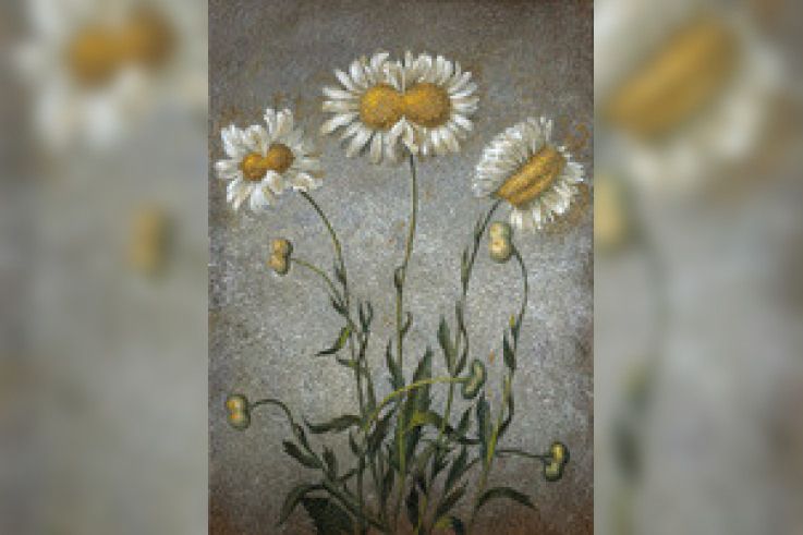 Laurent Grasso au Musée d'Orsay