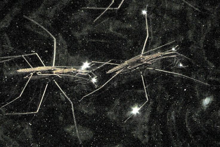 Nuit Blanche 2020 au Musée Bourdelle