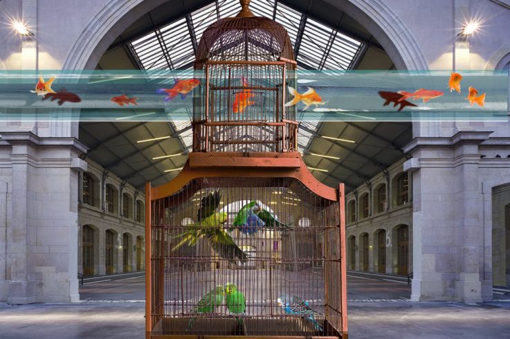 Nuit blanche 2020 : Alain Fleisher au Centquatre