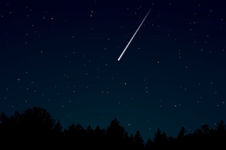 Nuit des Etoiles 2021 : l'Association française d'Astronomie au Parc Montsouris et au Jardins d'Eole