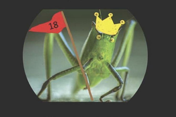 La troupe de théâtre de Dauphine présente Le marquis déconstruit, et la sauterelle du trou numéro 18