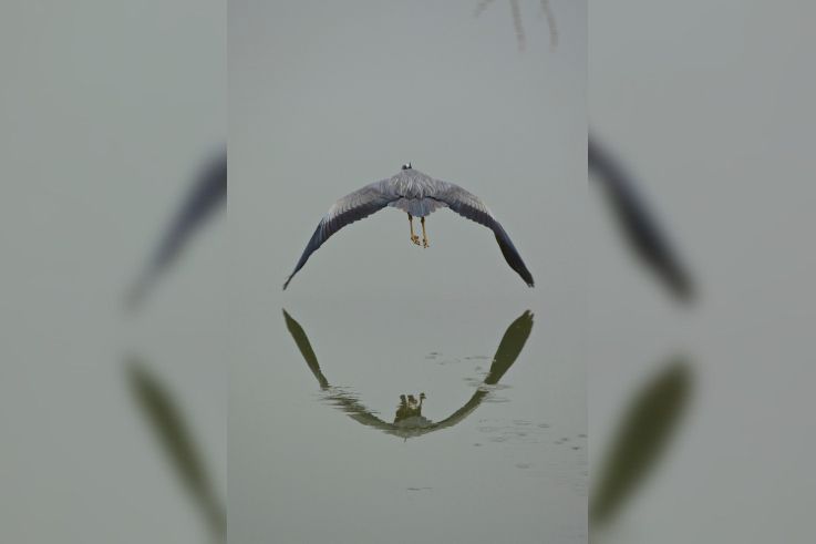 exposition AHAE au Chateau de Versailles