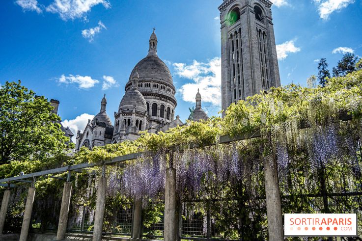 Ou voir les plus belles glycines de Paris, les spots incontournables et cachés - square Marcel Bleustein Blanchet