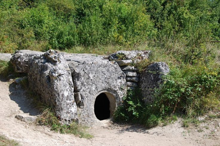 Fête de la Nature 2024 au Bois de Morval à Guiry-en-Vexin dans le Val d'Oise