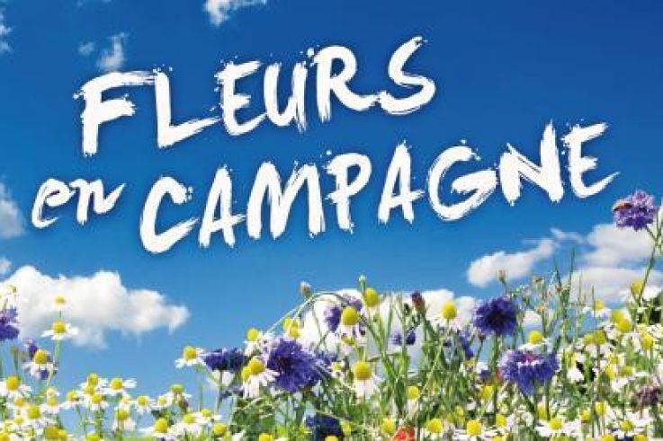 Fleurs en Campagne à Bagatelle