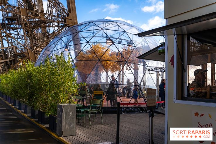 Bulle d'automne de la tour Eiffel : arbre géant et jeu grandeur nature au sommet de Paris