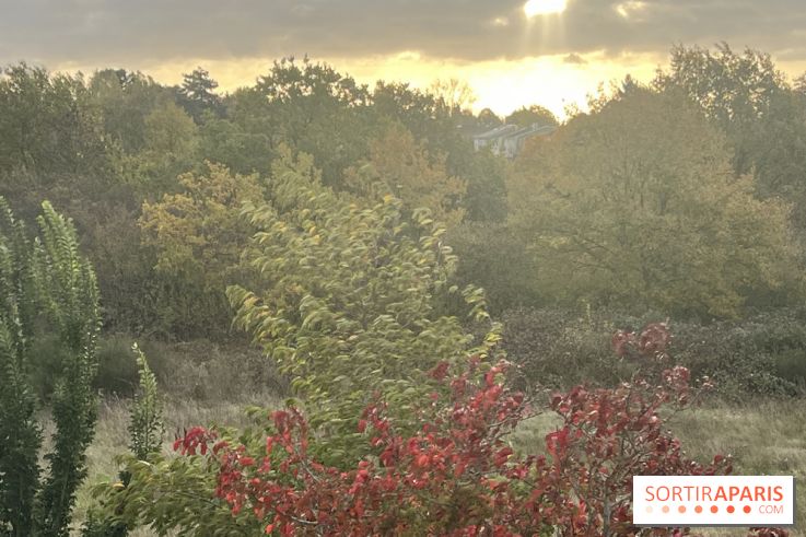Tempête Benjamin : parcs et jardins fermés en Île-de-France