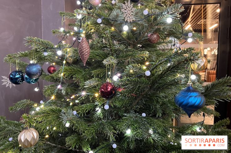 Le Marché de Noël de Thoiry 2025 - 78