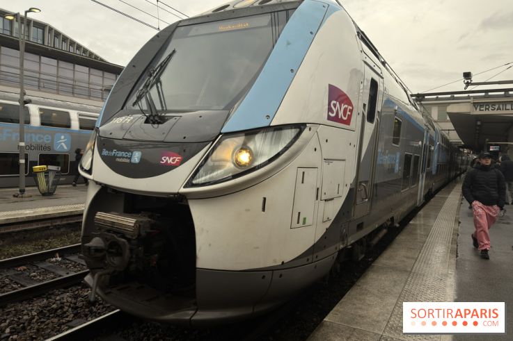 Transports à Paris et en Île-de-France : les perturbations de cette semaine avec la neige et le verglas