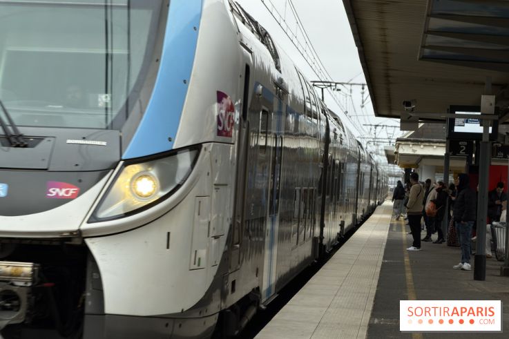 Transports à Paris et en Ile-de-France : les perturbations RER, métro du 26 janvier au 1er février