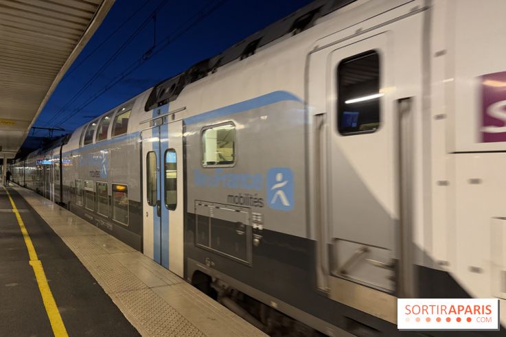 Tempête Nils, des perturbations possibles sur les transports en Ile-de-France