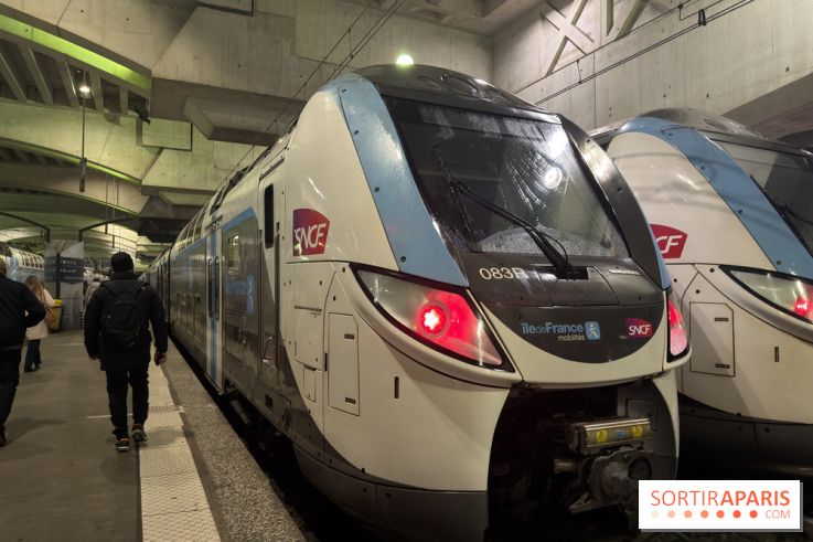 Transports à Paris et en Ile-de-France : les perturbations RER, métro du 16 au 22 février