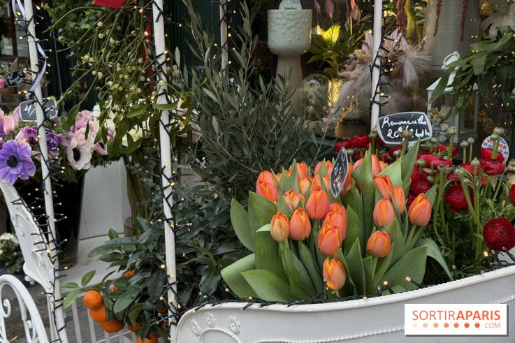 La foire aux Plantes de Crèvecœur-En-Brie 2026 (77)