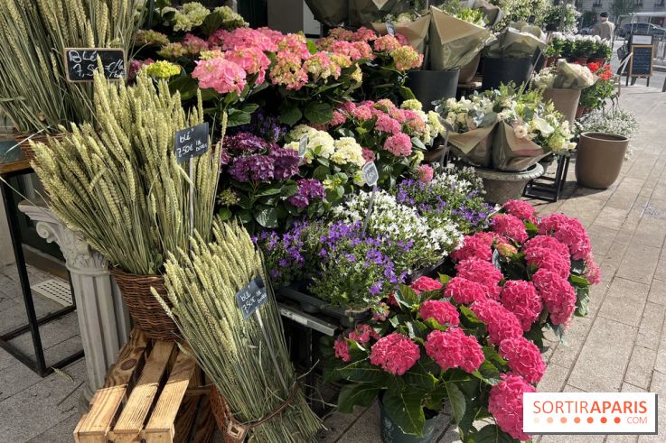 La Fête des Jardins de Sois-y en Essonne 2026