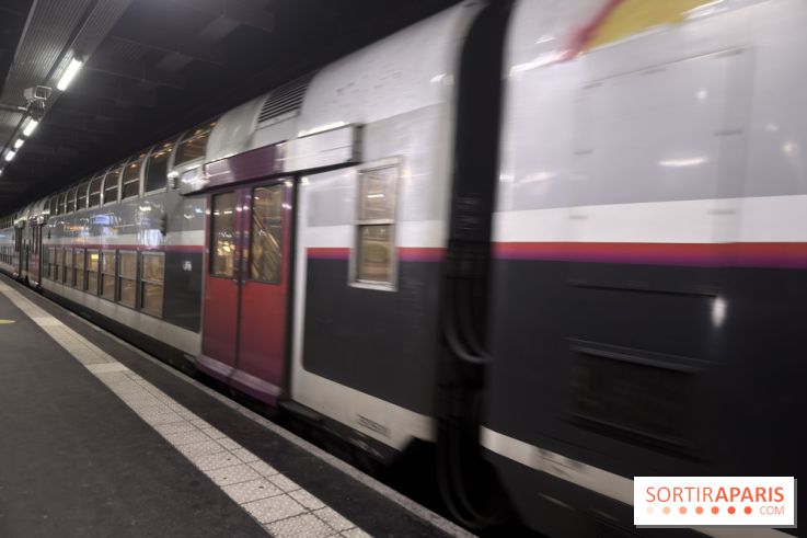Transports : les RER B et D perturbés ce jeudi 26 février
