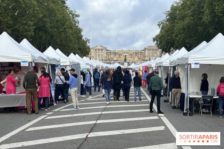 Brocantes et vide-greniers des Yvelines ce week-end dans le 78