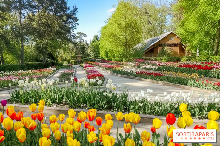 Le Parc Floral de Paris Vincennes, tulipes