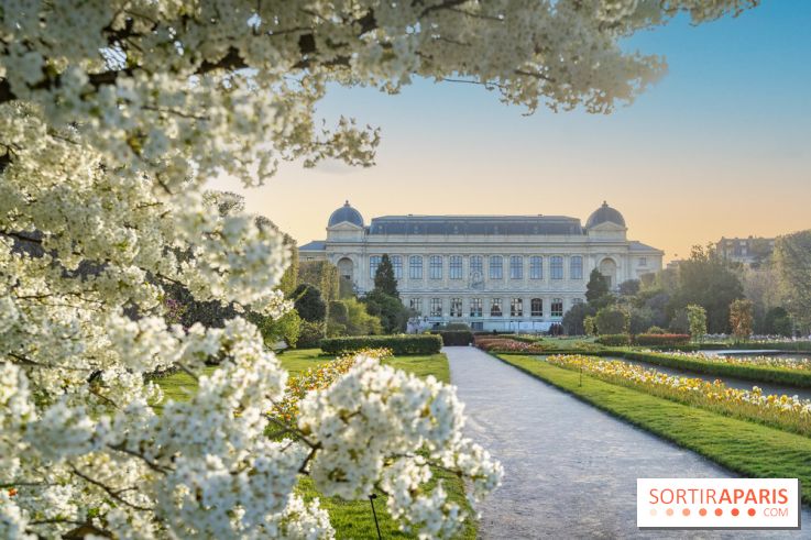 Quelle météo cette semaine à Paris du 30 mars au 6 avril 2026 ? 