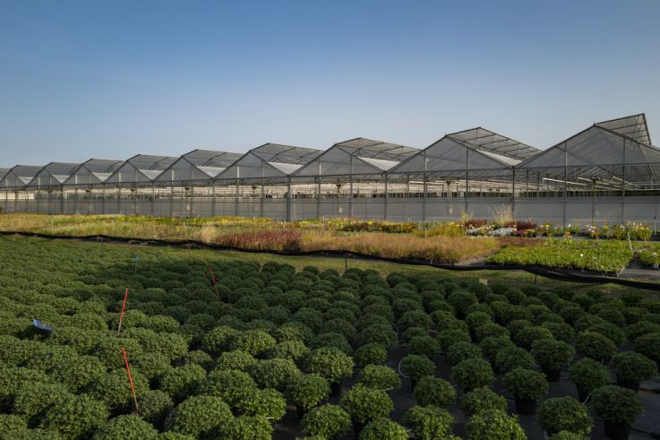 Val d'Oise : des milliers de plantes aux Portes ouvertes du centre Horticole du Grand Paris
