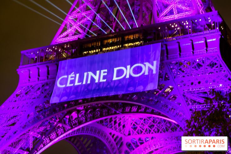 Céline Dion en concert à Paris, pourquoi la jaune est réduite ? 