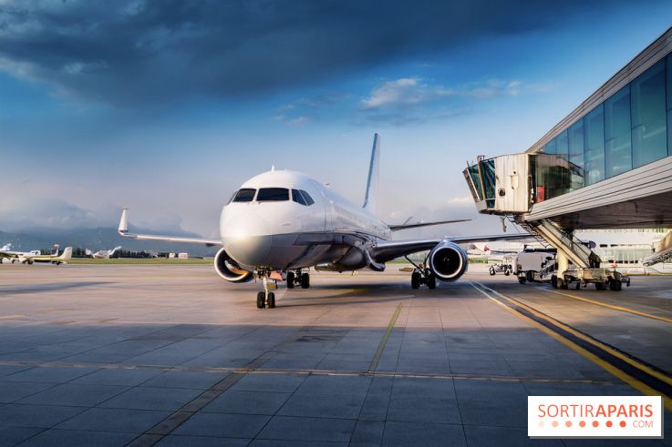 Vols annulés Transavia en mai et juin 2026 : êtes-vous concerné et que faire ?