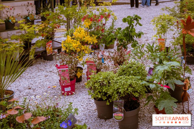 Jardins en fête à Auvers 91