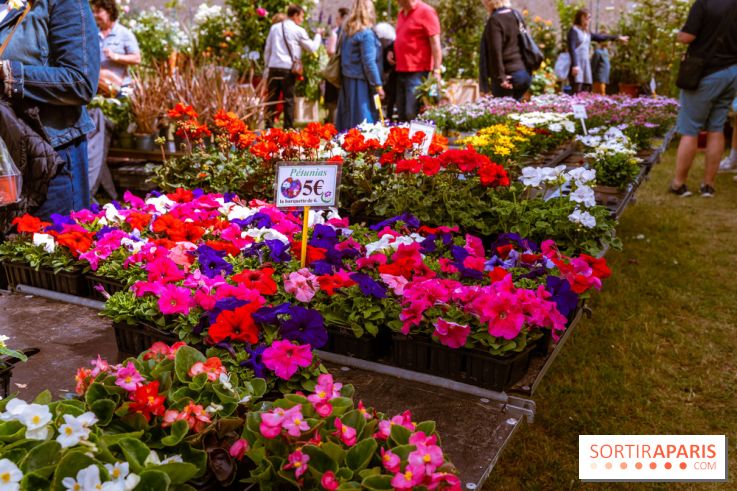 Fête des plantes de Méry