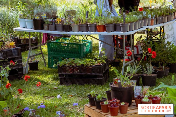 Les Naturiales 2026 à Fontainebleau : marché de plantes et animations nature en Seine-et-Marne