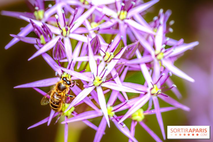 La Fête de la Nature et du bien-être animal vous attend ce samedi en Val-de-Marne