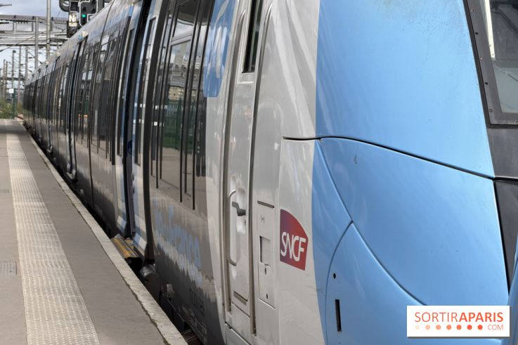 Transports à Paris et Ile-de-France cette semaine, les perturbations métro, RER du 15 au 21 juin 2026