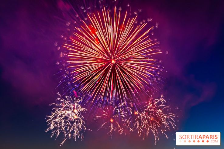 Après l'Essonne, les Yvelines, le Val d'Oise et la Seine-et-Marne interdisent les feux d'artifice