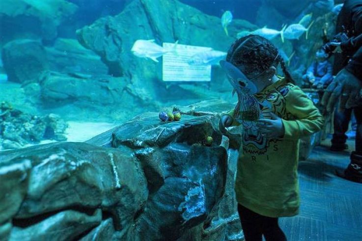 Chasse aux oeufs de Pâques à l'Aquarium de Paris