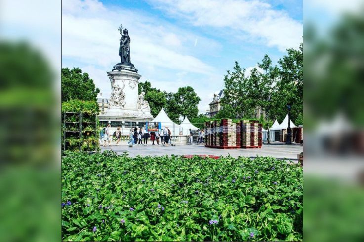BiodiversiTerre, la place de la République se végétalise !