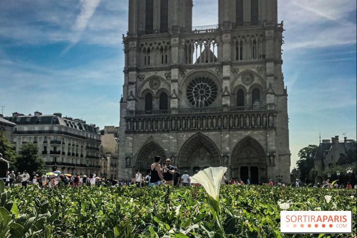 Réouverture du Parvis et de la rue du Parvis de Notre-Dame de Paris