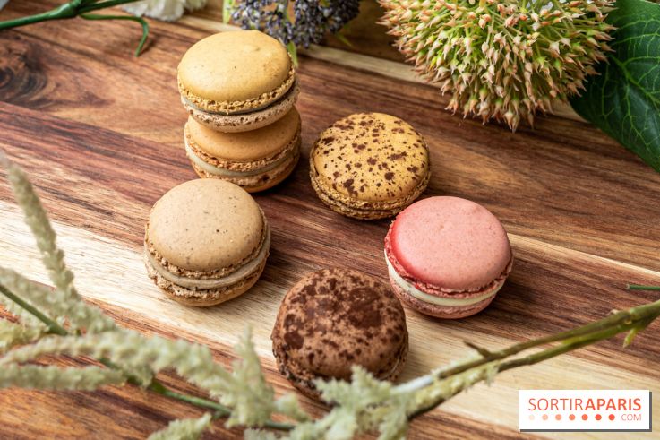 Jour du Macaron 2021 à Paris et en Ile de France 