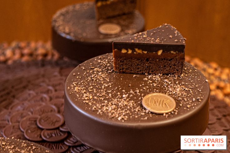 Le Gâteau-goûter chocolat de Christophe Michalak et la maison du Chocolat