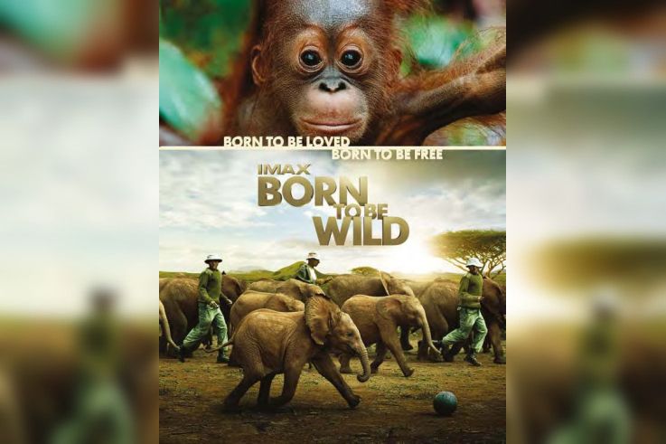 born to be wild, nés pour être libre à la Géode
