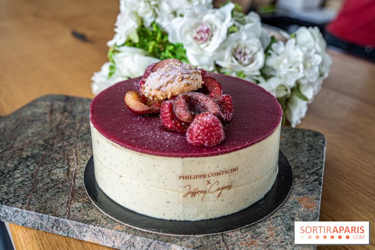 Le Framboisier de Philippe Conticini et Jeffray Cagnes