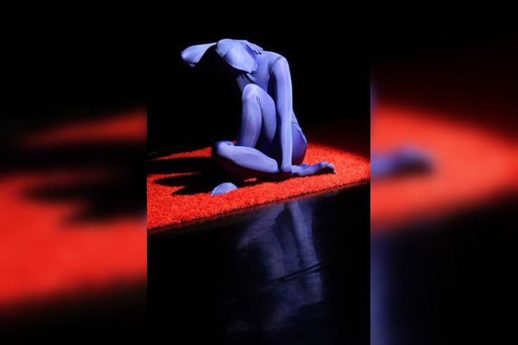 sortez en famille, cnd, théâtre chaillot