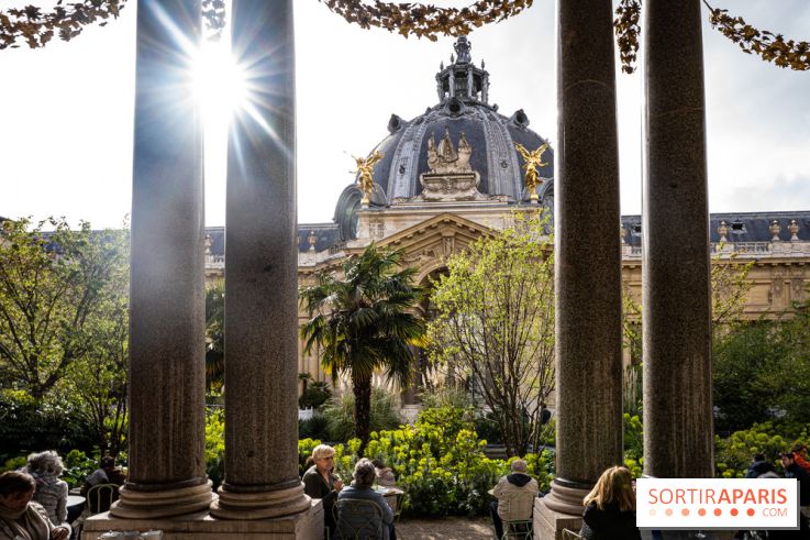 Le Jardin du Petit Palais et sa terrasse verdoyante 