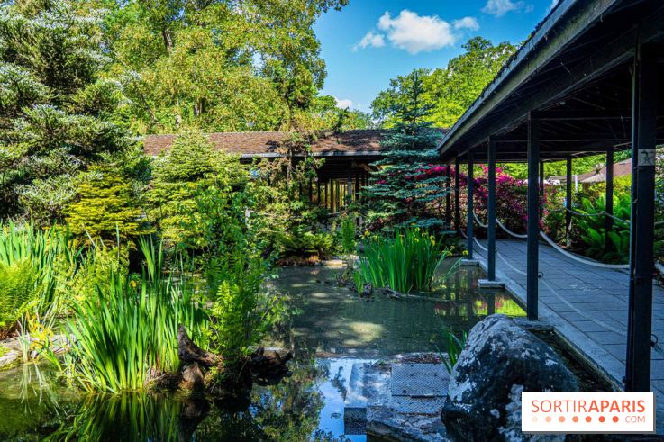 Les jardins japonais du Parc Floral de Paris au Bois de Vincennes 