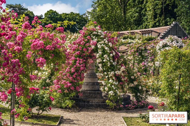 Les plus belles roseraies à Paris et en Île-de-France