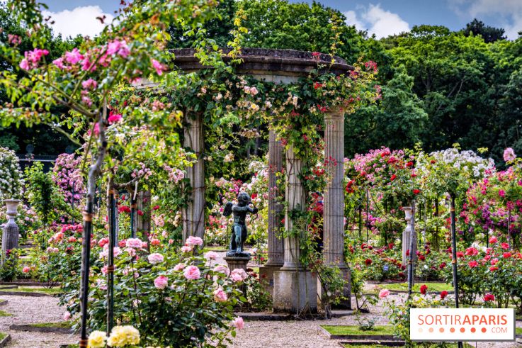 Les plus belles roseraies à Paris et en Île-de-France