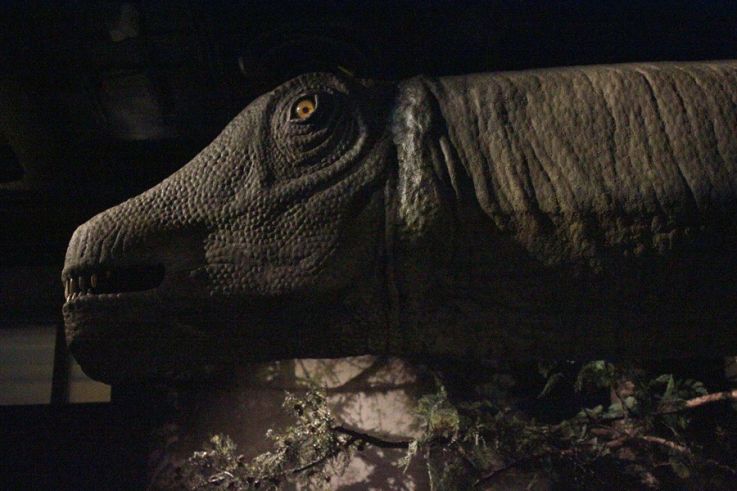 Report : Dinosaure, la vie en grand au Muséum