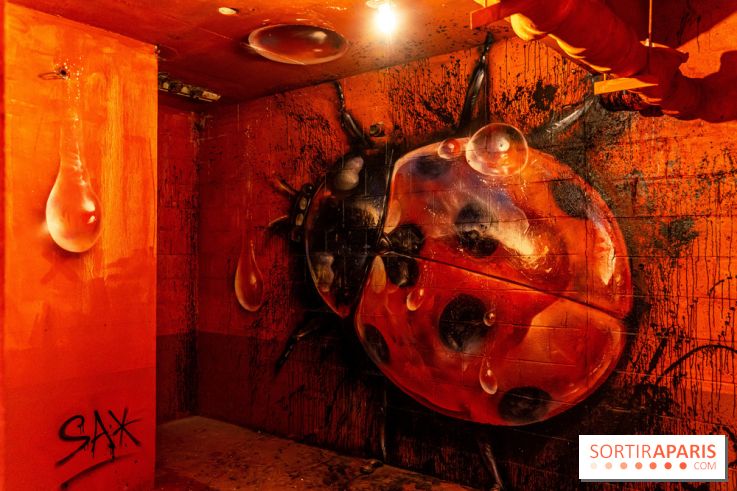 Colors Festival 2023, l'immense expo street art - Sax