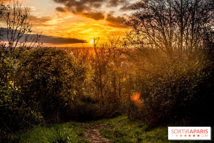 Colline d’elancourt - colline de la revanche 