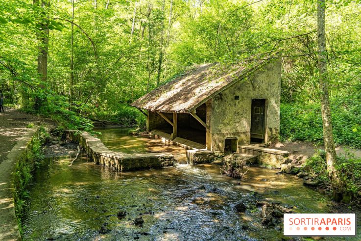 Fête de la Nature 2023 dans les Yvelines (78) : Le programme