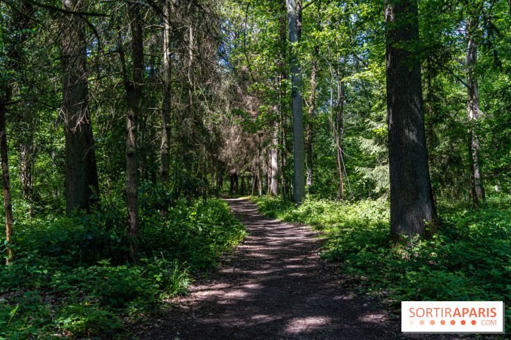 Nuit des forêts Rambouillet 2023